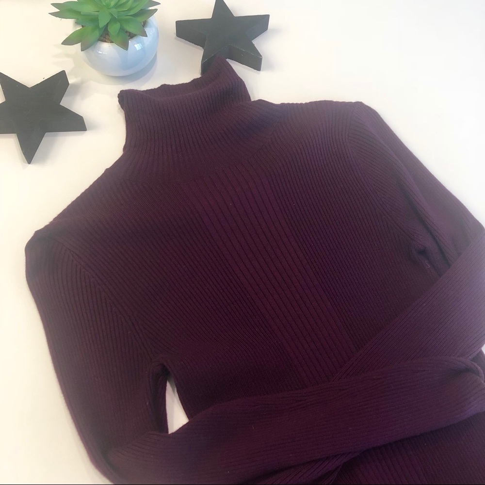 Miss Selfridge Purple Ribbed Turtleneck!